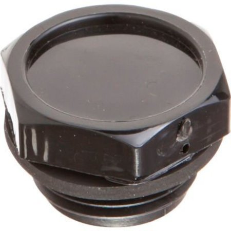 J.W. WINCO J.W. Winco 6312565 Nylon Plastic Threaded Plug with Breather - G 3/8" Pipe Thread TO-22-G3/8-J-2